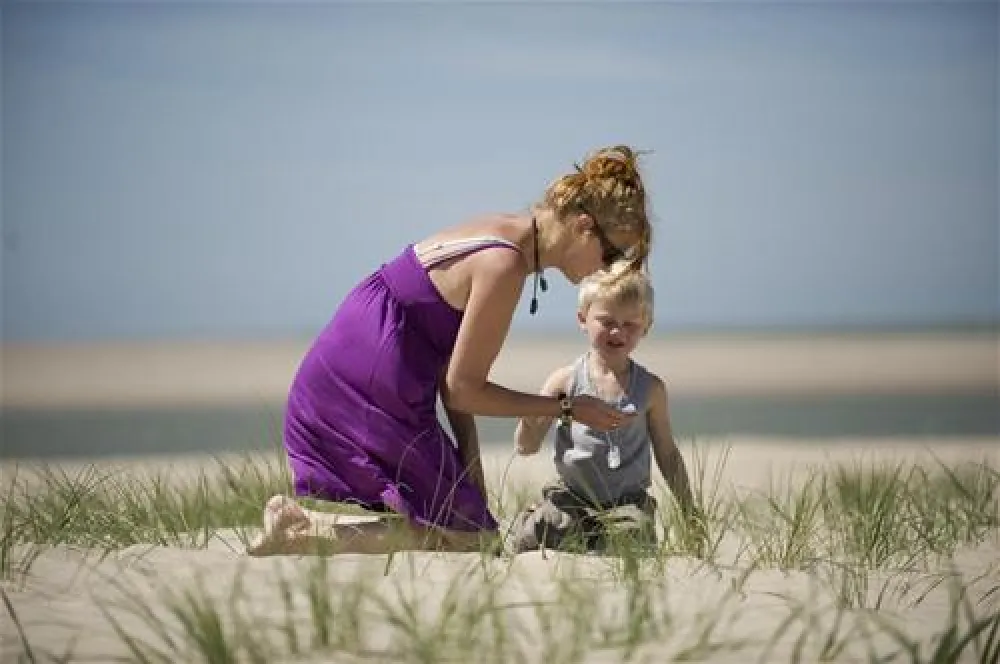 Camping De Zwinhoeve