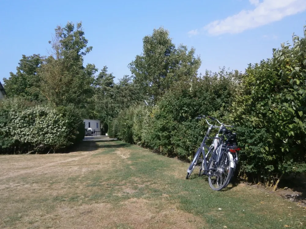 Camping De Zwinhoeve