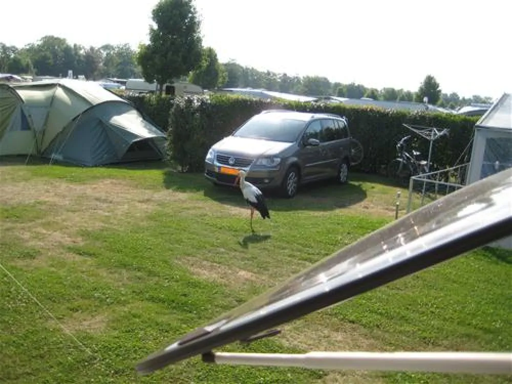 Camping De Zwinhoeve