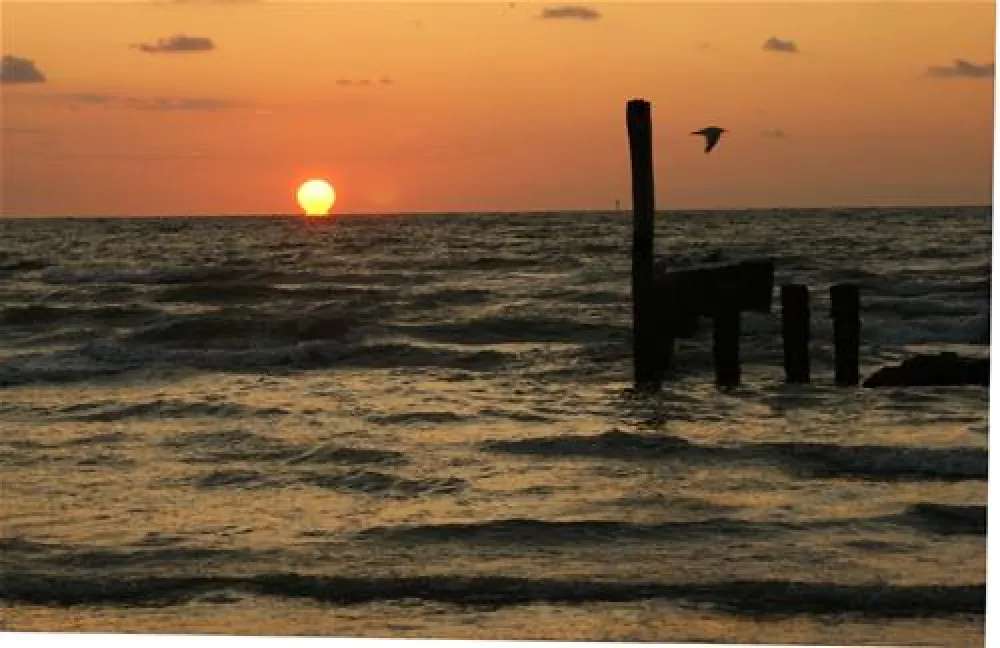 Camping De Zwinhoeve