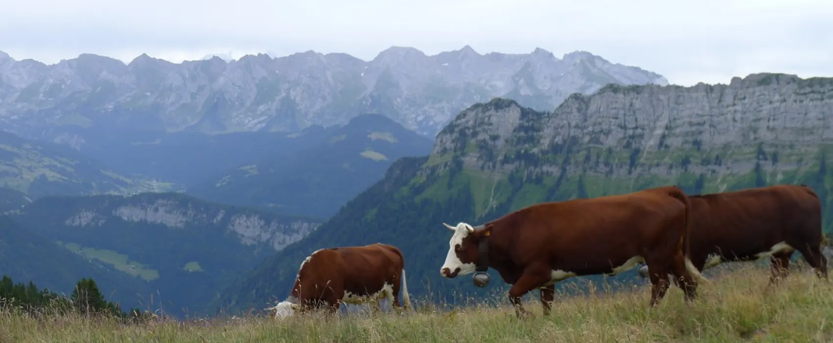 Camping Moulin Dollay