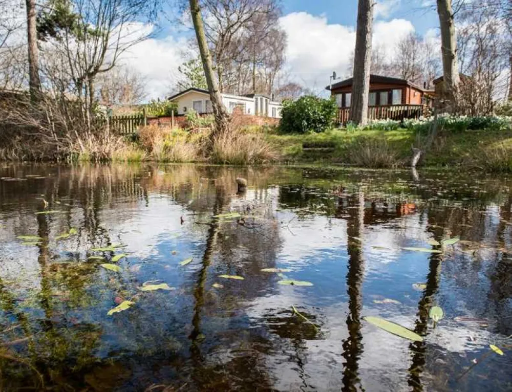 Cliff House Holiday Park