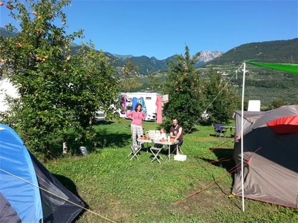 Ab&c Arco Bed and Camping