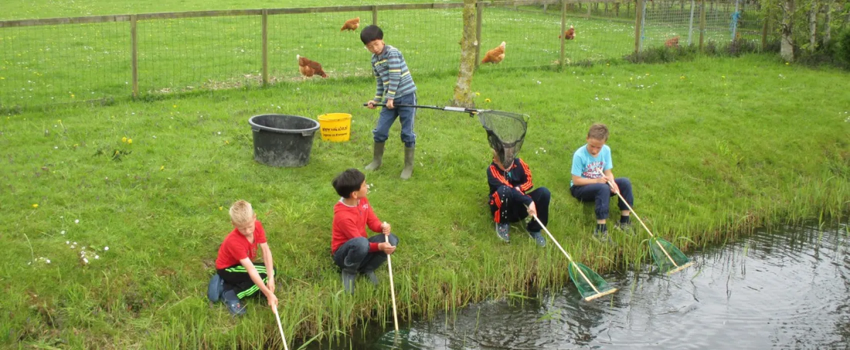 Minicamping Het Twiskerveld