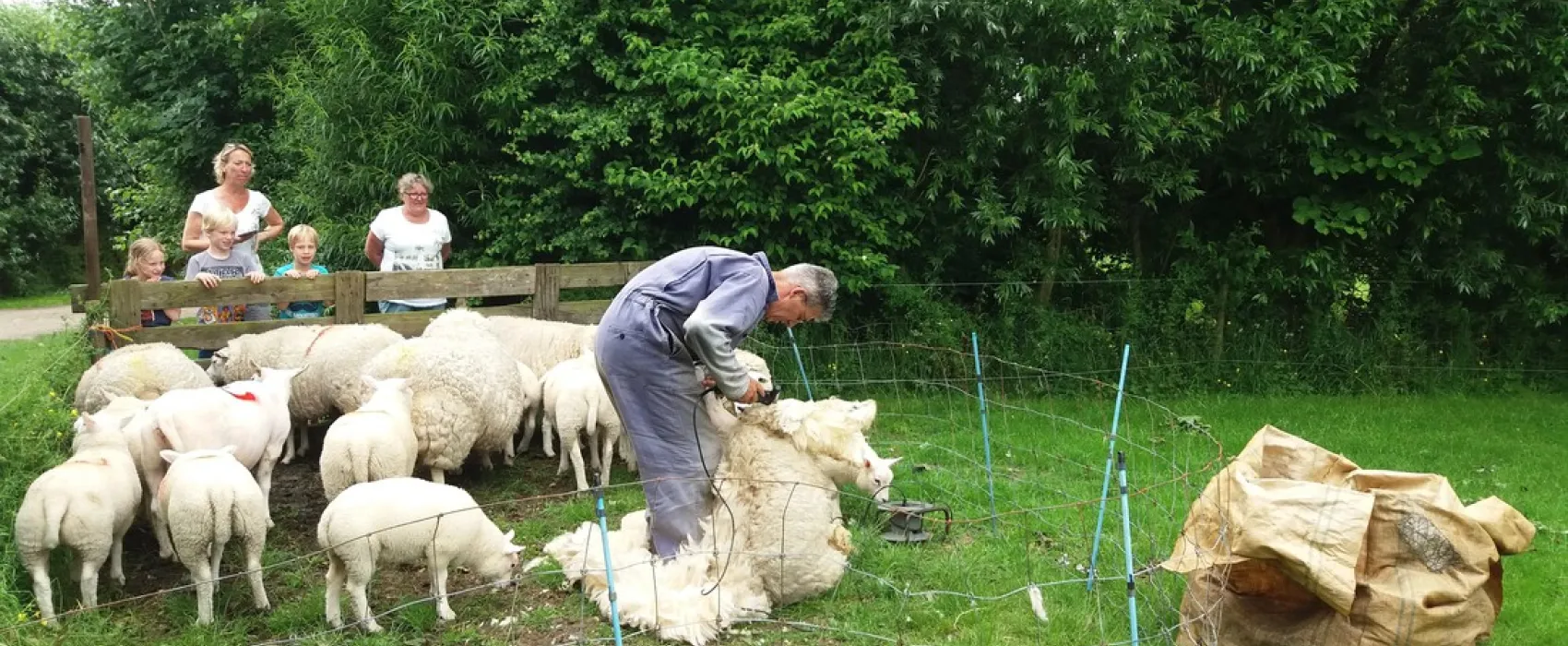 Minicamping Het Twiskerveld