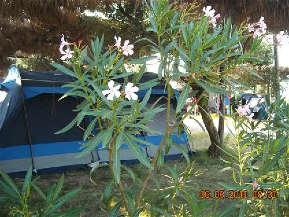 Porto Cesareo Camping