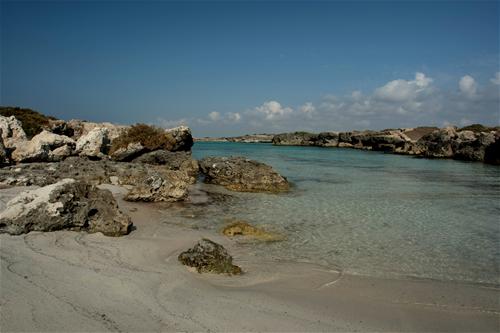 Porto Cesareo Camping photo 2