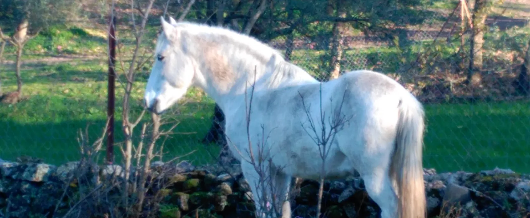 Camping Valverde Natural