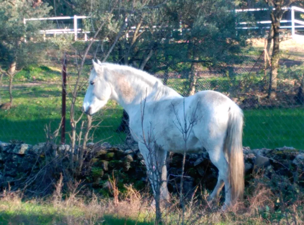 Camping Valverde Natural