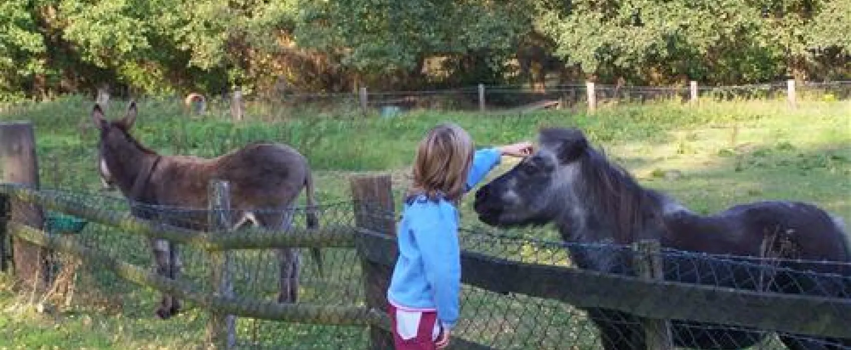 Camping- und Erholungszentrum Natels-Heidesee