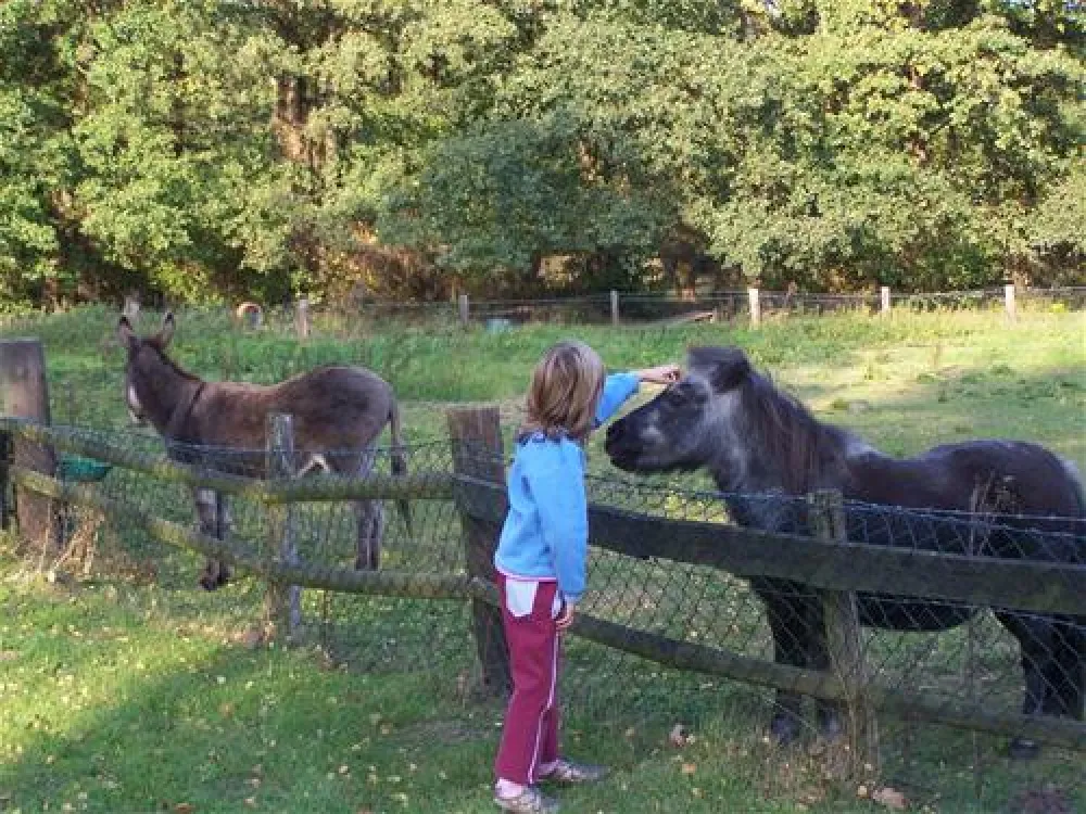 Camping- und Erholungszentrum Natels-Heidesee
