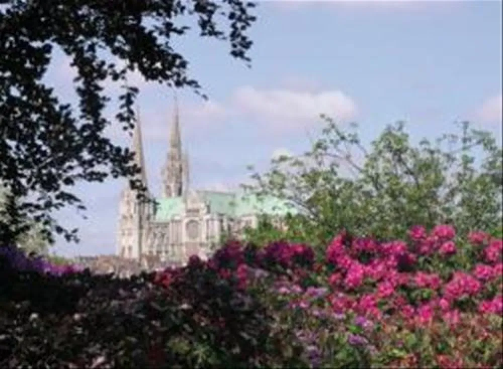 Flower Camping - Le Bois Fleuri