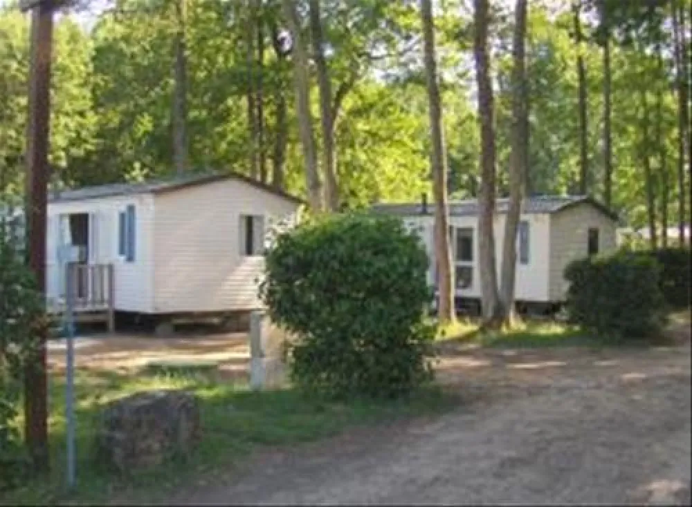 Flower Camping - Le Bois Fleuri