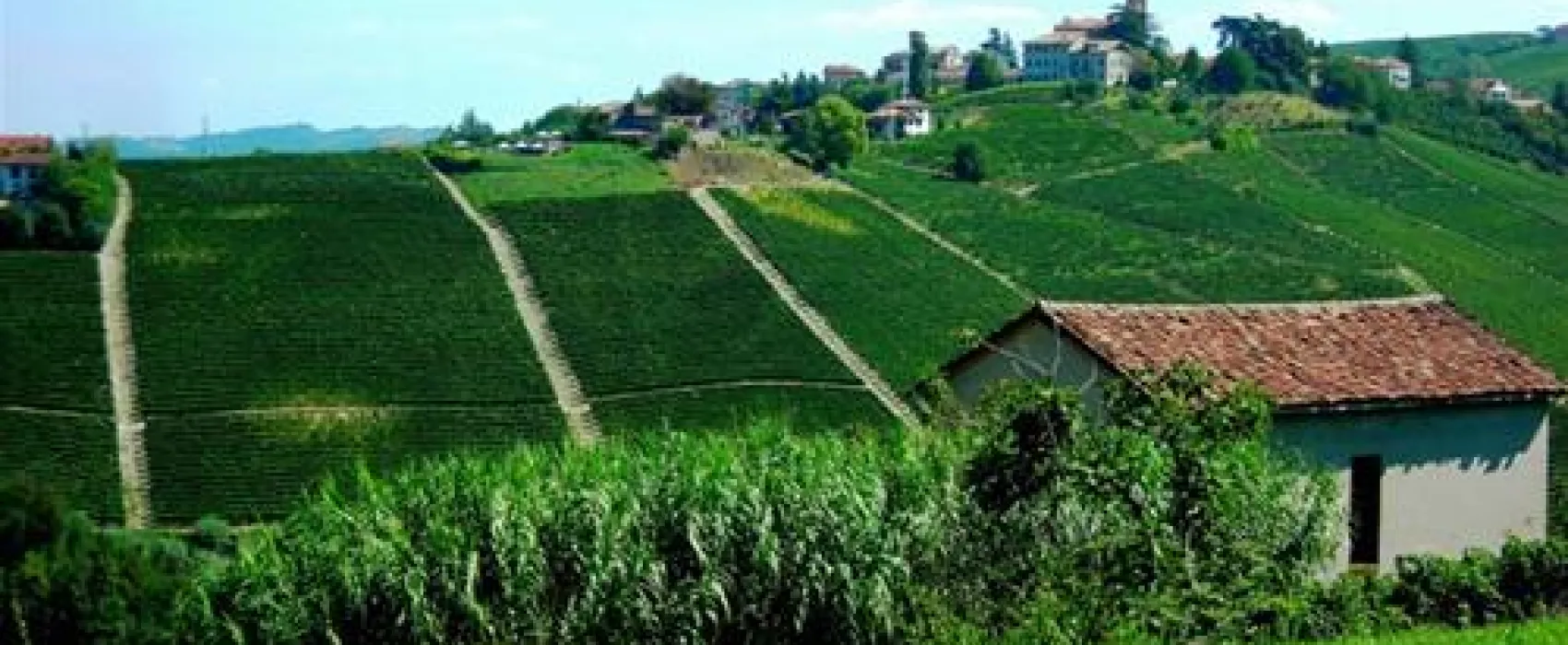 Ai Ciuvin Agriturismo e Camping