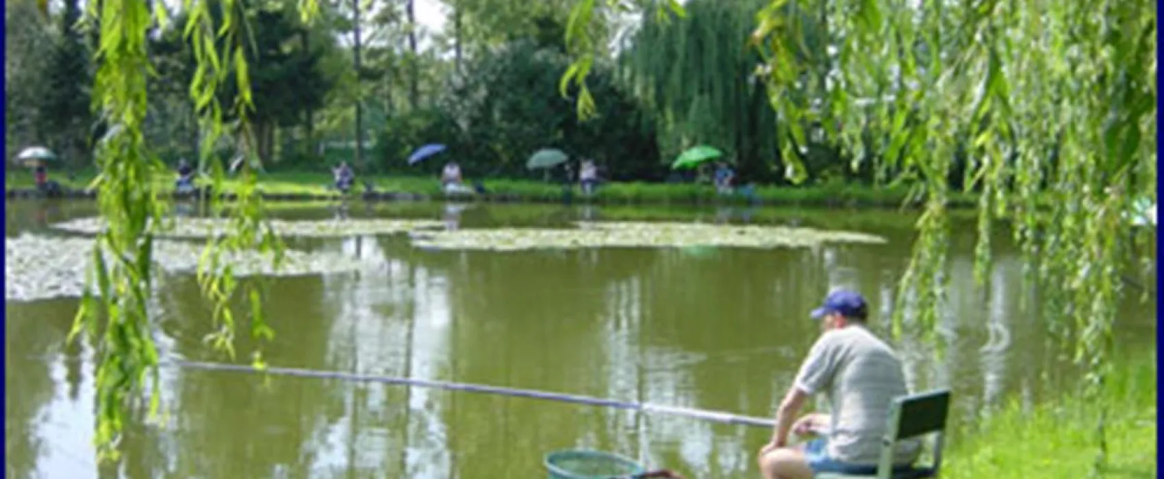 Camping Berkenstrand