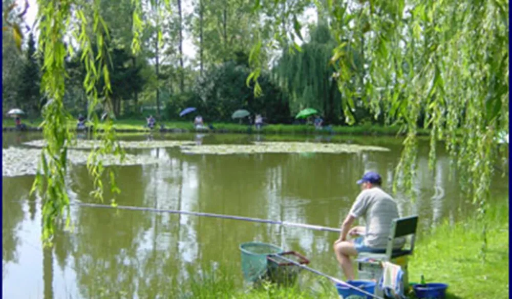 Camping Berkenstrand