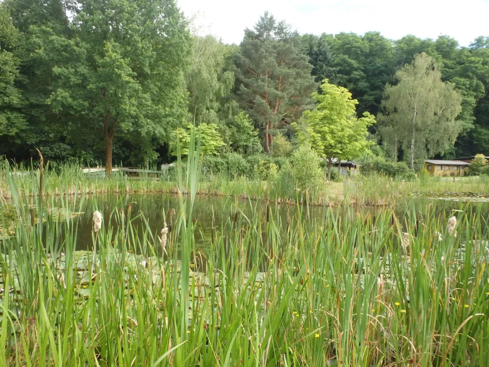 Campingpark Lindelgrund