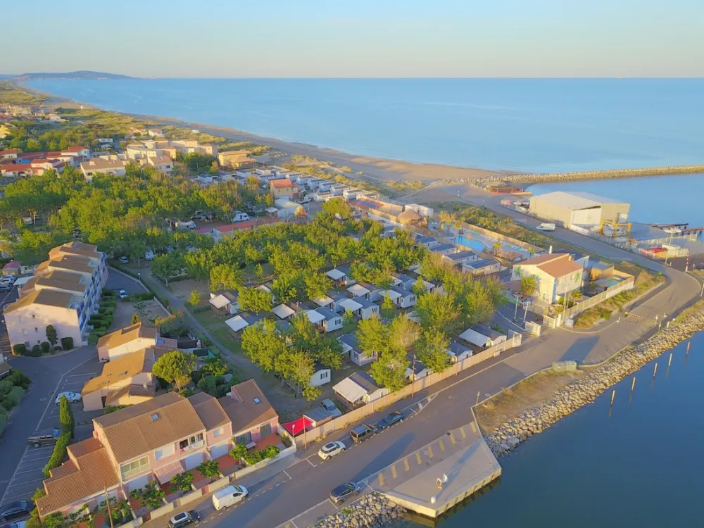 Flower Camping Robinson  