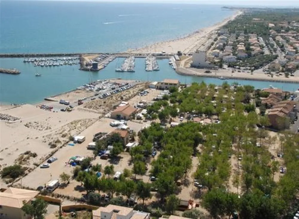 Flower Camping Robinson  