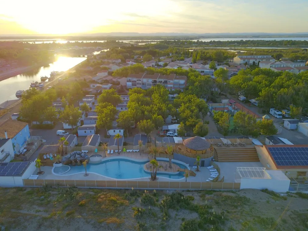 Flower Camping Robinson  