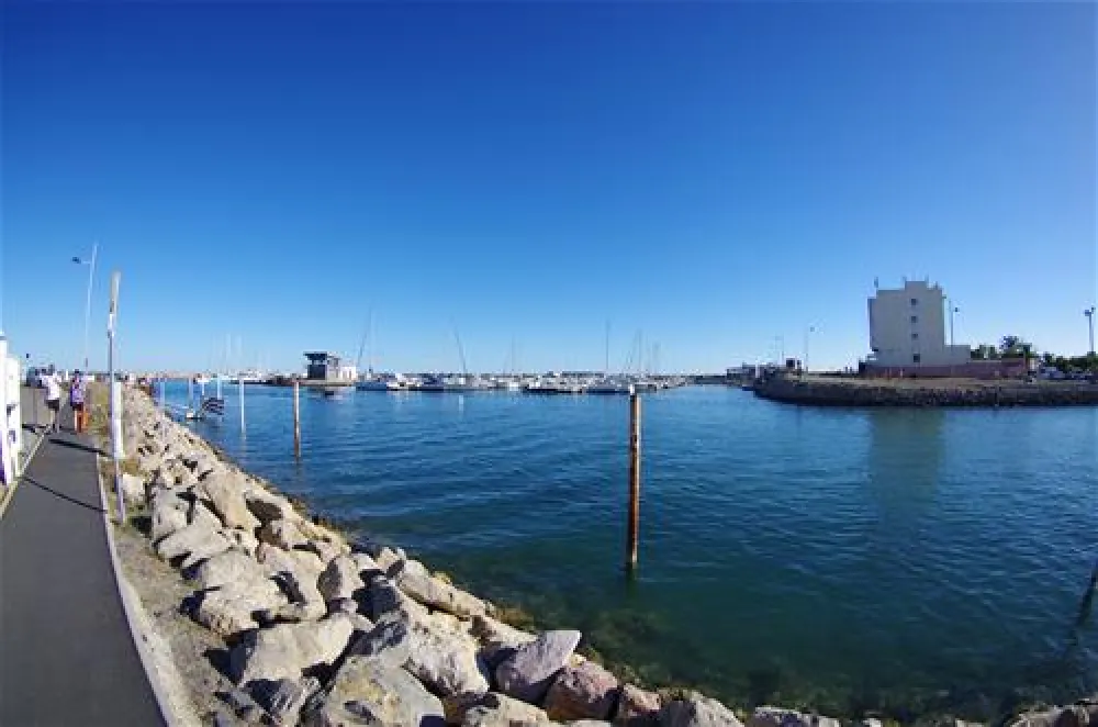 Flower Camping Robinson  