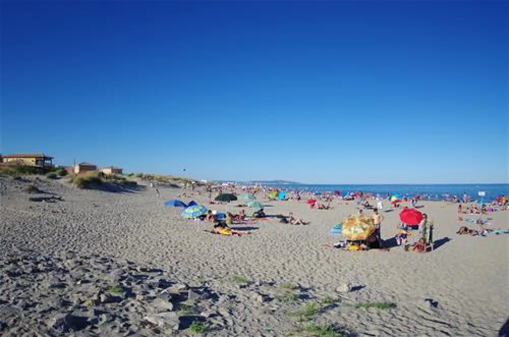 Flower Camping Robinson  