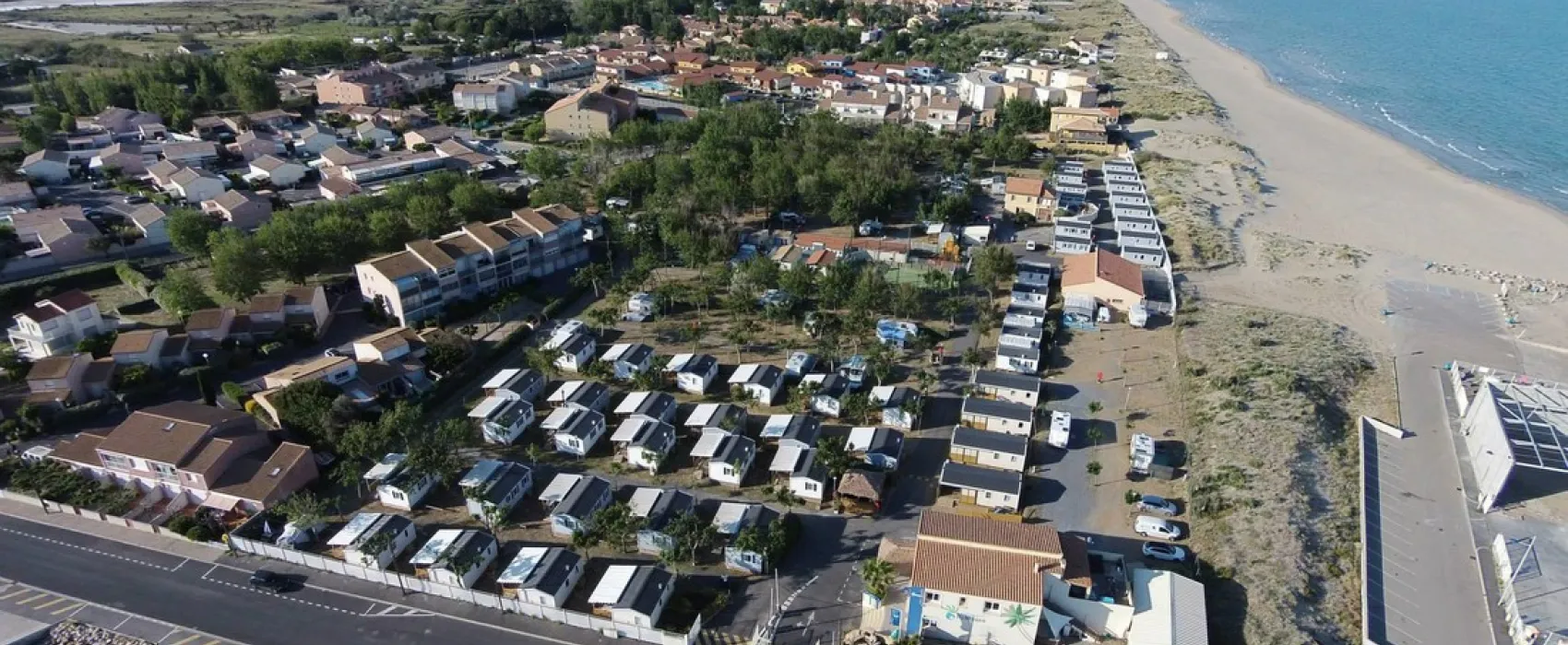 Flower Camping Robinson  