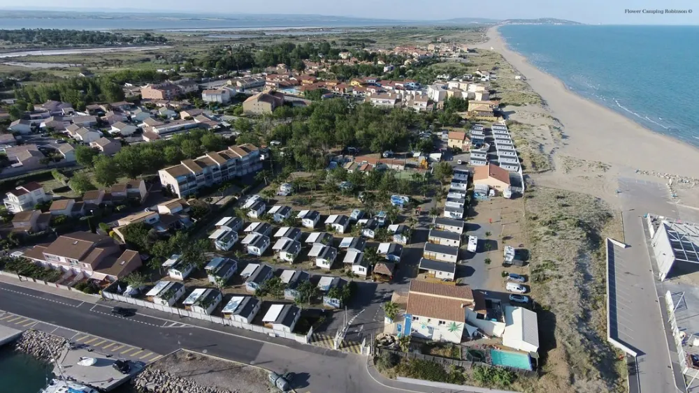 Flower Camping Robinson  