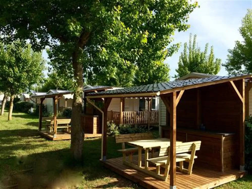 Flower Camping Robinson  