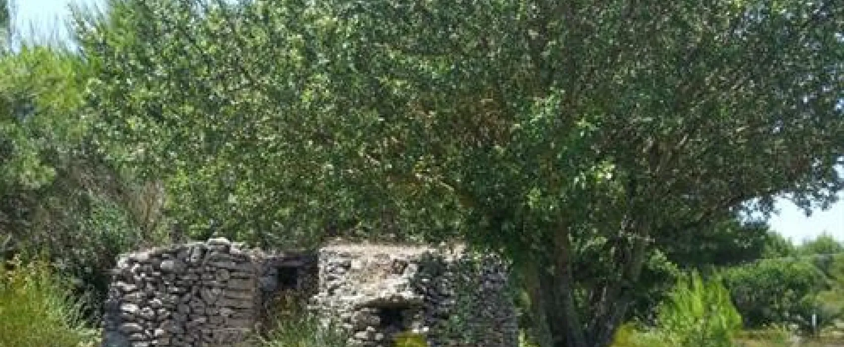 Hestasja-Area Camper