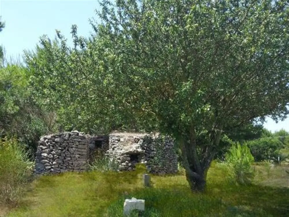 Hestasja-Area Camper