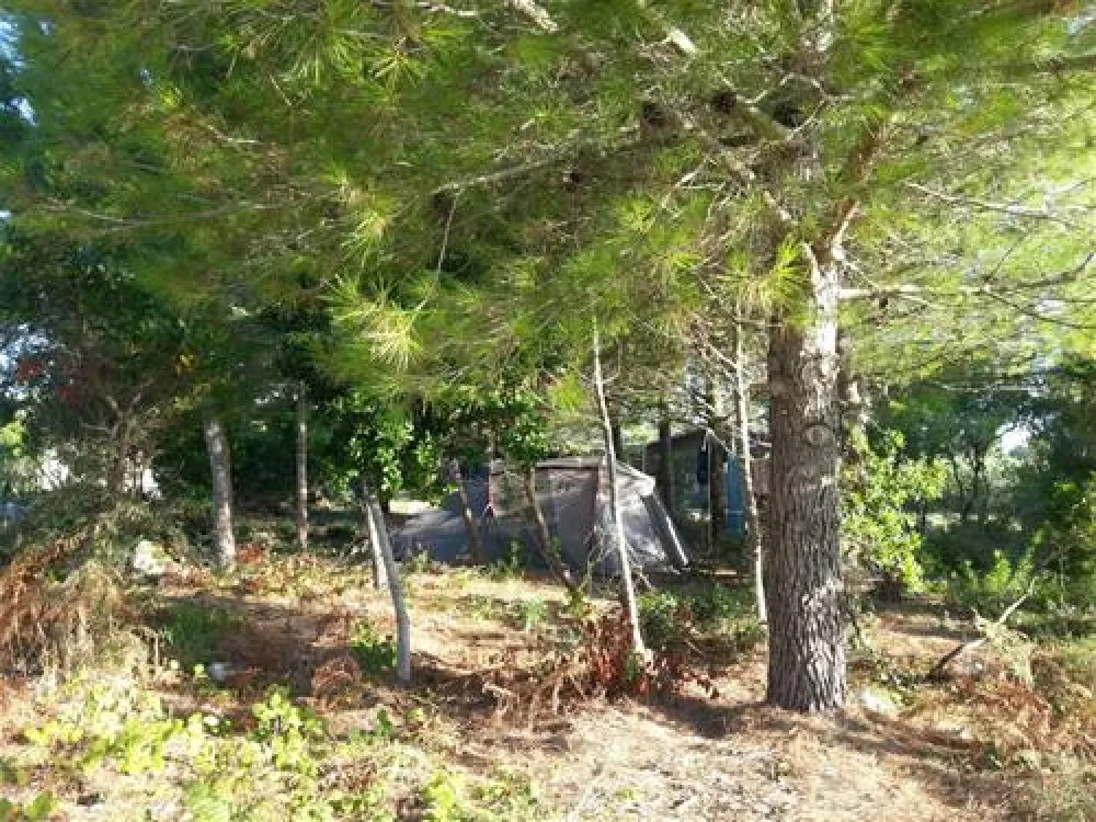 Hestasja-Area Camper