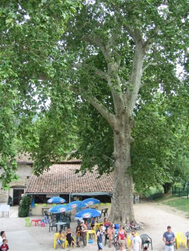 Camping Le Moulin
