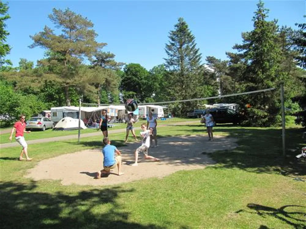 Vakantiepark Witterzomer