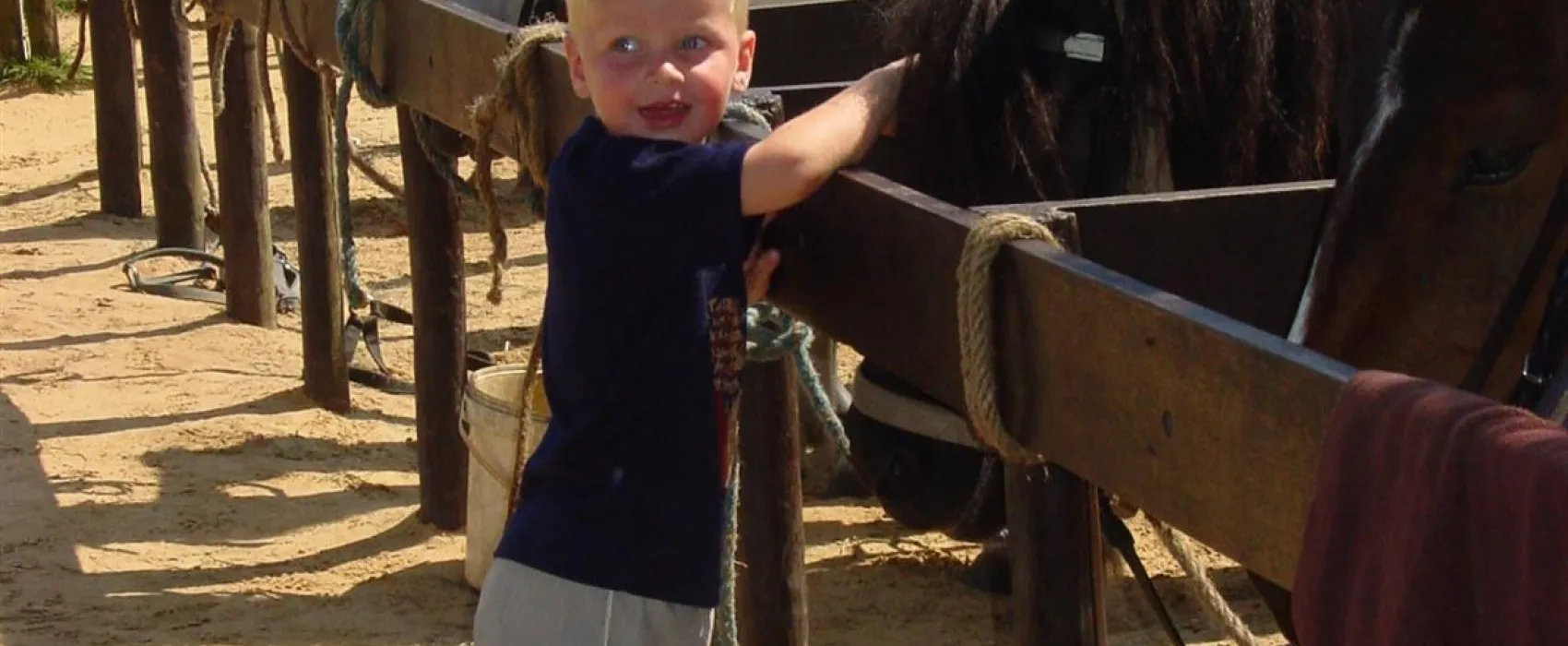 Vakantiepark Witterzomer