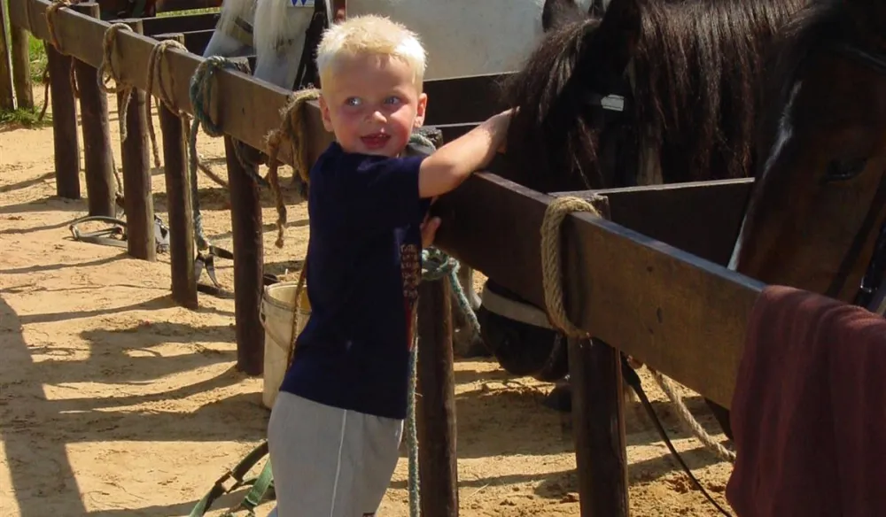 Vakantiepark Witterzomer