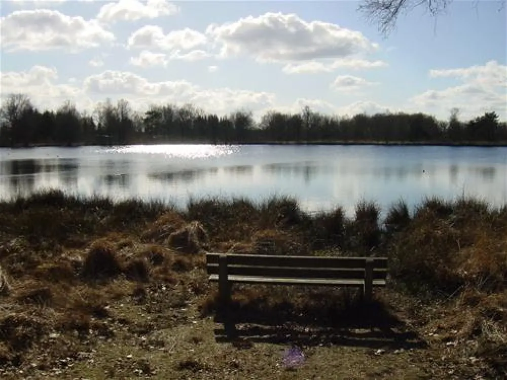 Vakantiepark Witterzomer