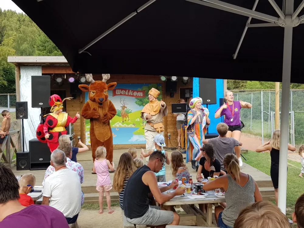 Panorama camping Petite Suisse