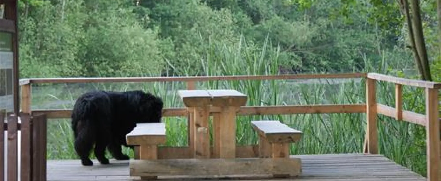 Jes-Autokemp Krystyna