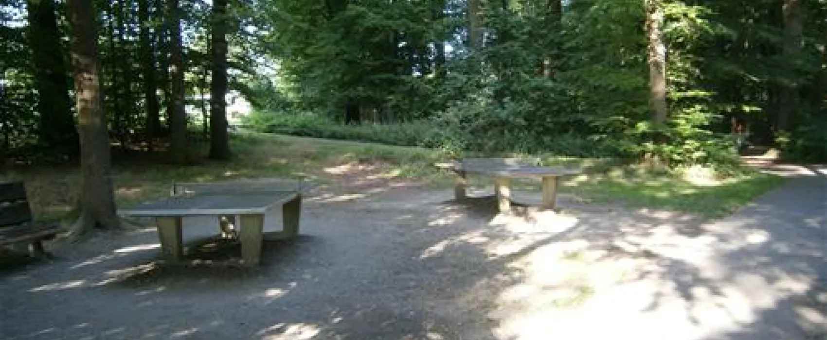 Regenbogen Tecklenburg