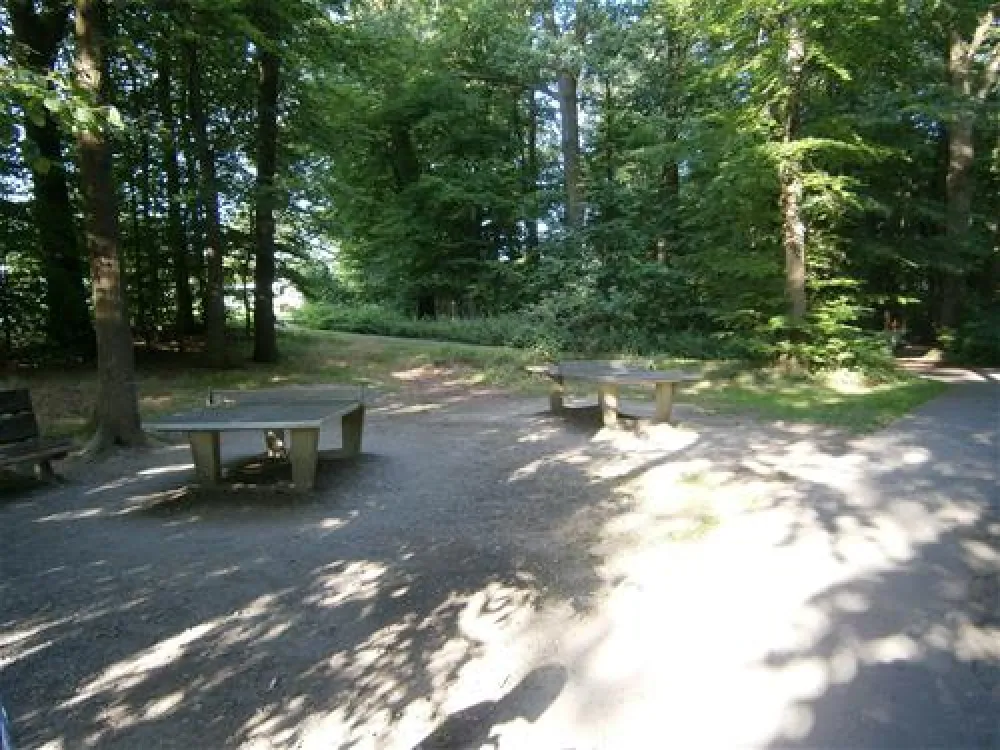 Regenbogen Tecklenburg