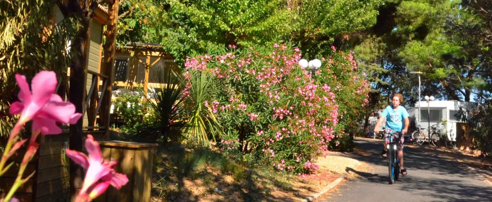 Sites & Paysages Le Mas Du Padre  