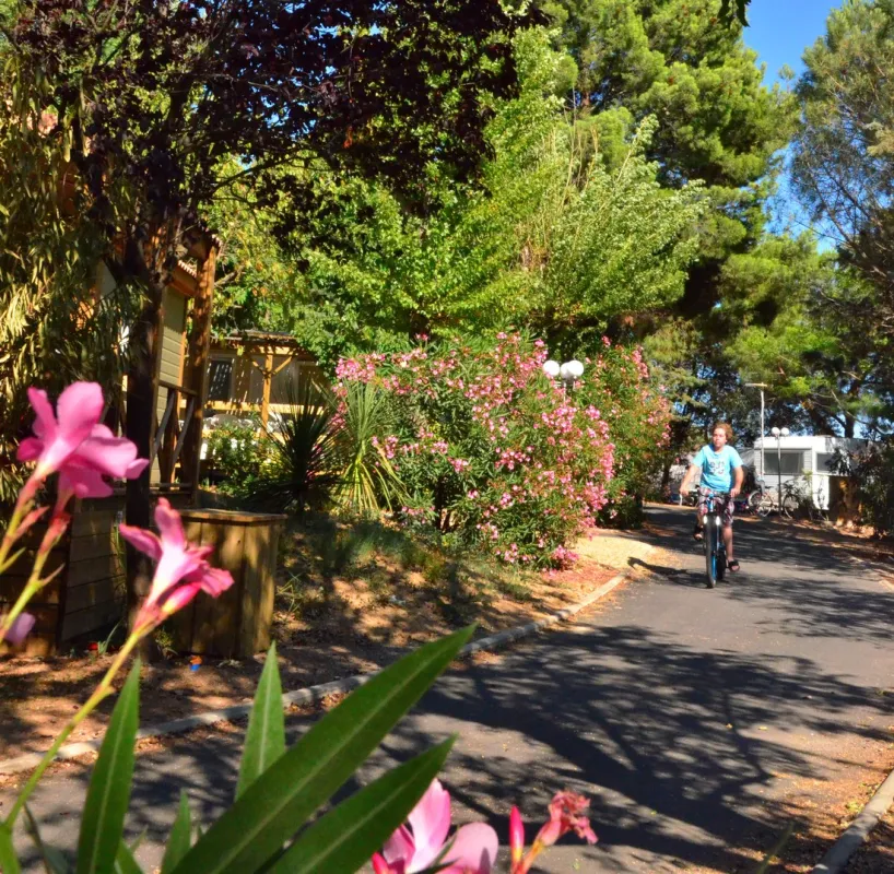 Sites & Paysages Le Mas Du Padre  