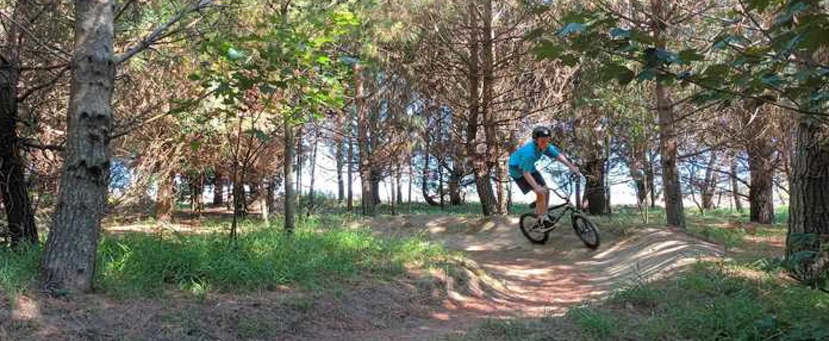 Trevornick Holiday Park