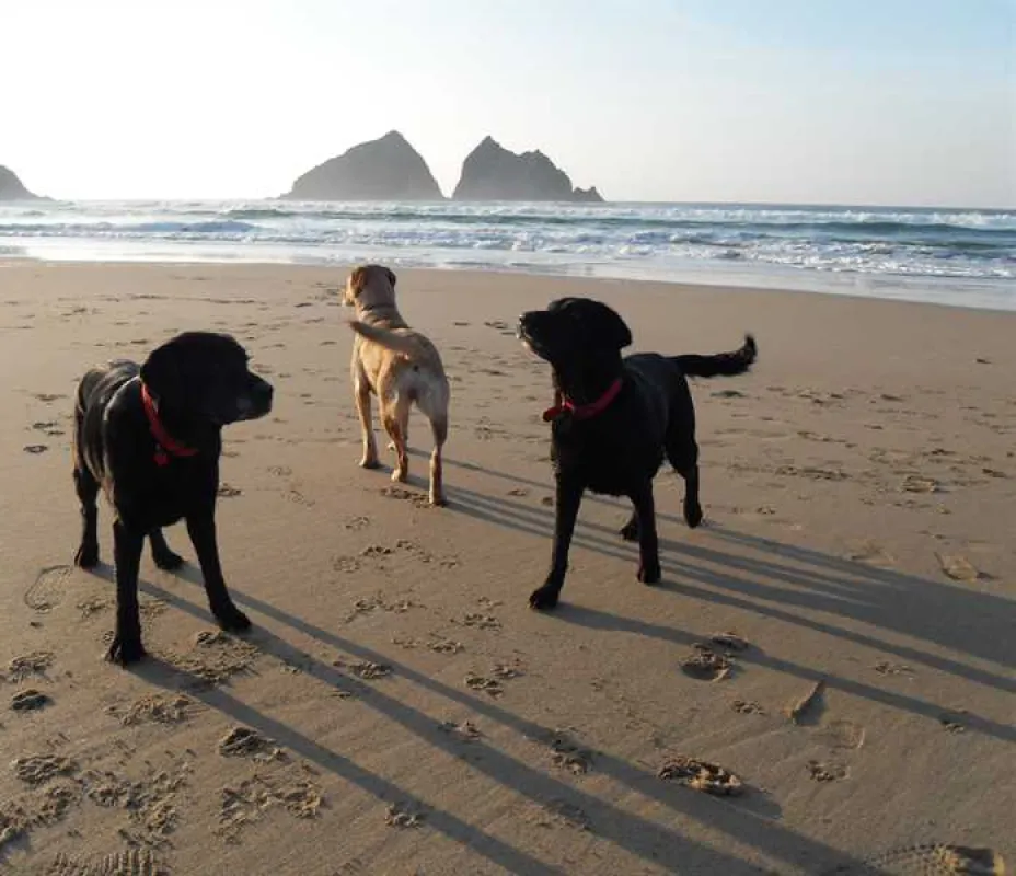 Trevornick Holiday Park