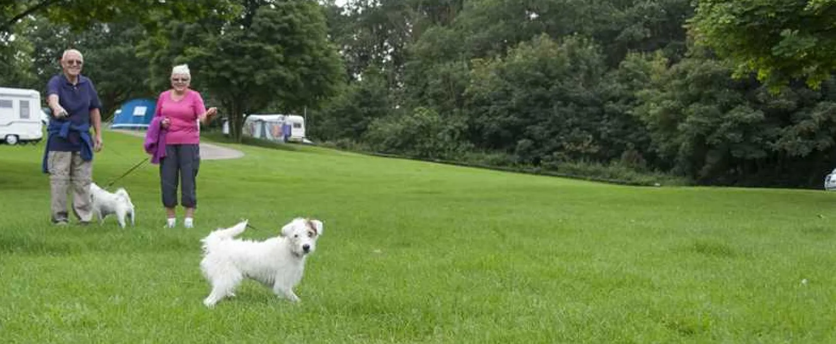 Wolverley Camping and Caravanning Club Site