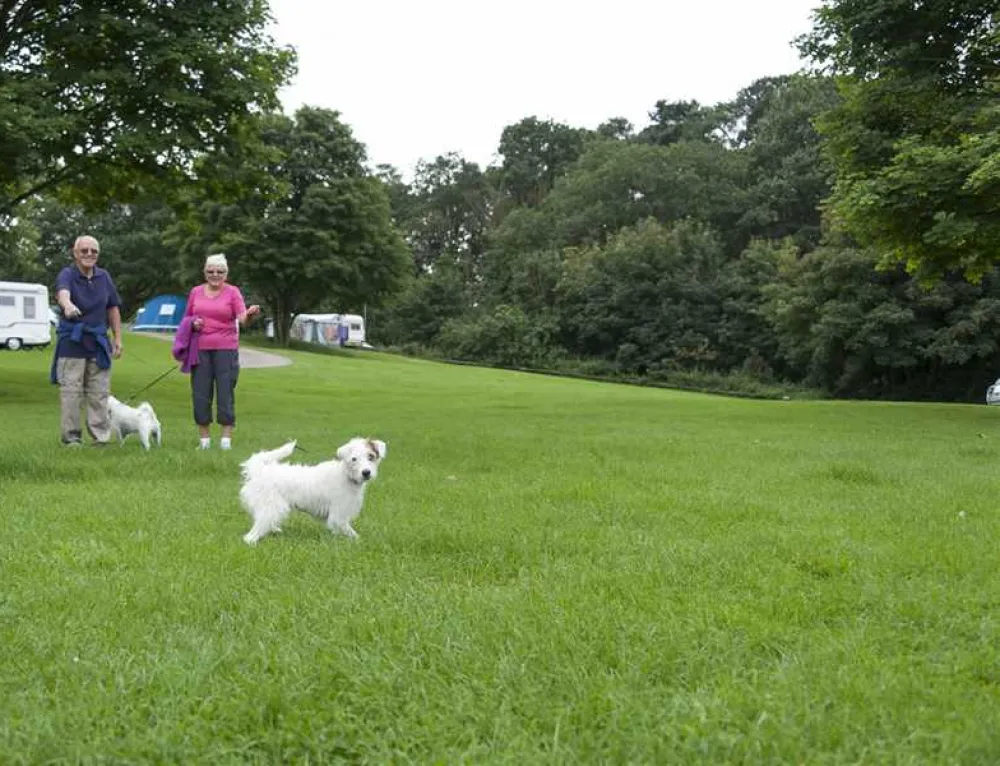 Wolverley Camping and Caravanning Club Site