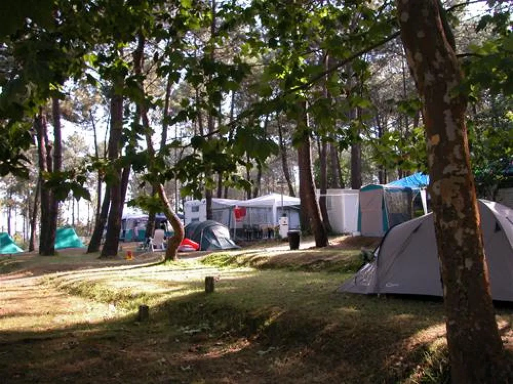 Camping Cachadelos