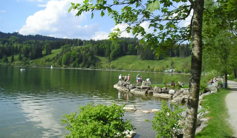 Alpsee Camping