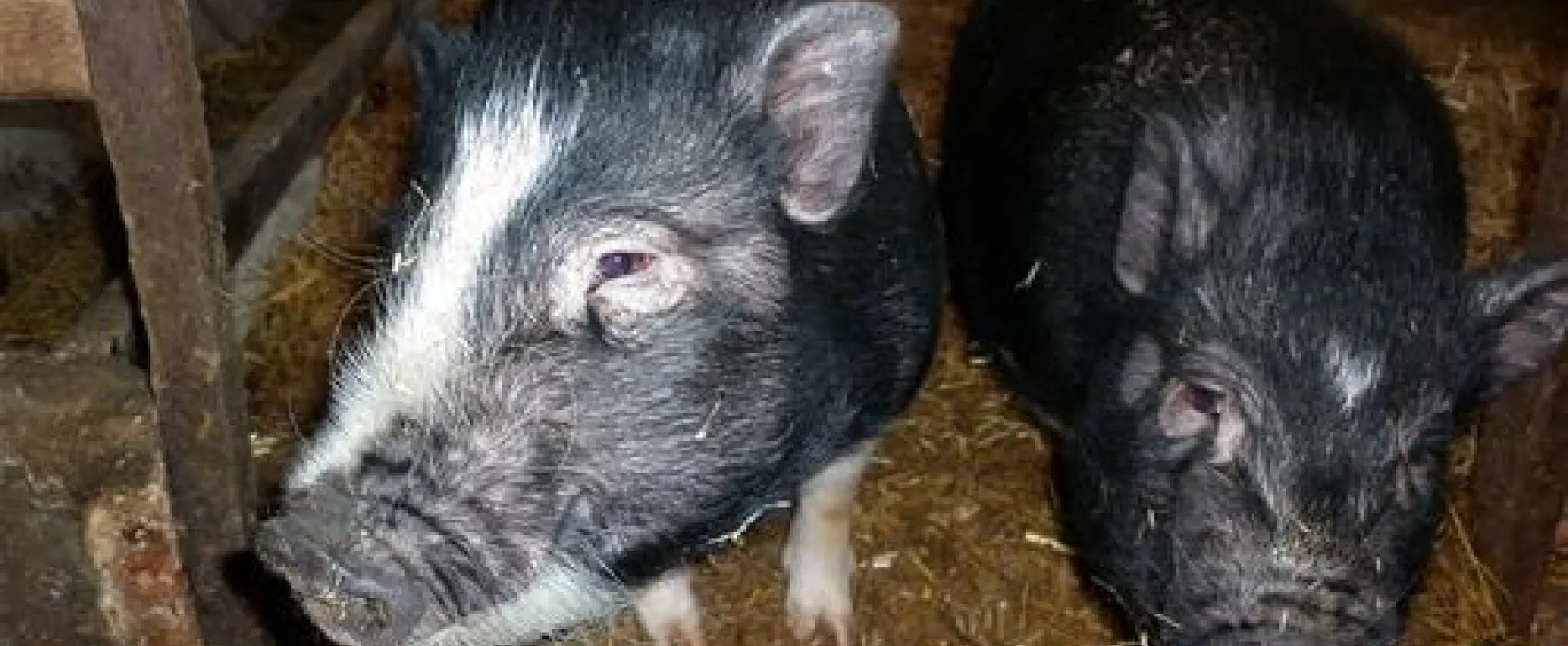 Fjand Camping & Feriecenter